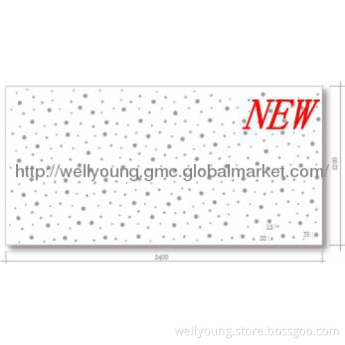 acoustic ceiling from wellyoung
